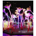 LED Morning Glory على شكل ضوء